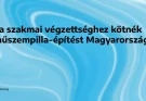 Újra szakmai végzettséghez kötnék a műszempilla-építést Magyarországon